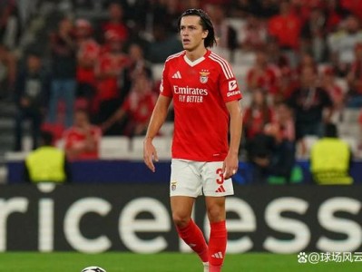 包含Ming在皇家马德里比赛中比赛规则变更，夺冠引发热议！的词条开云平台安全登录